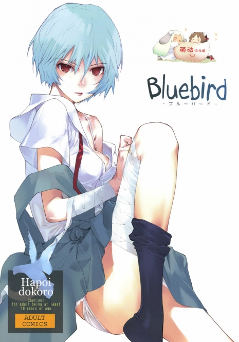 (C77) [Hapoi-Dokoro (Okazaki Takeshi)] Bluebird (Neon Genesis Evangelion) [Chinese] [萌动汉化组]