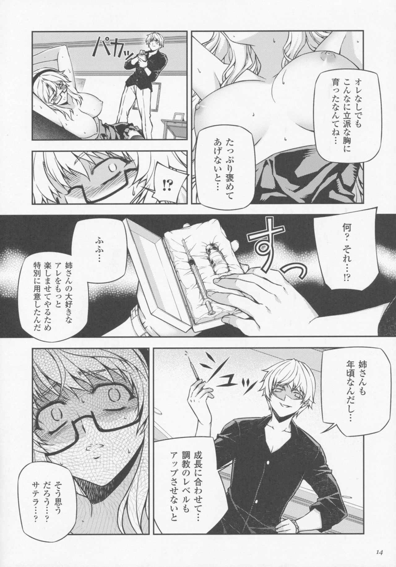 (C77) [CDPA (Various)] CROSS MAKE 2009 (Freezing, Onihime VS) page 14 full