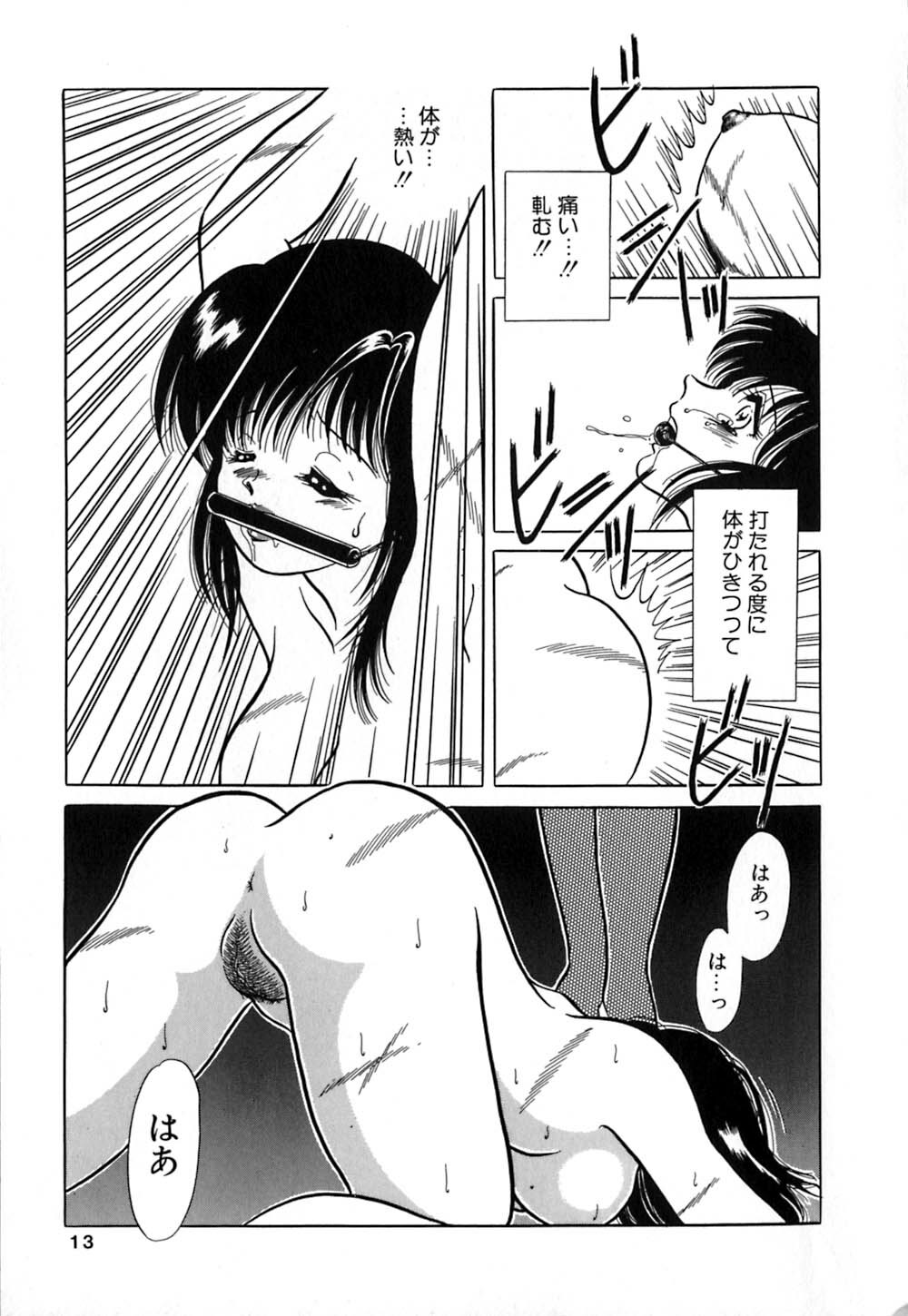 [Yagyuu Ryuu] Mesu no Honnou page 13 full