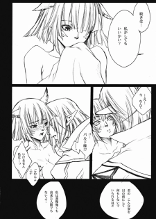 [Akai Tsubasa, 50BMG (Tachibana Chata, Shindou Nobumichi)] LOVE FOOL . 06 (Final Fantasy XI) - page 13