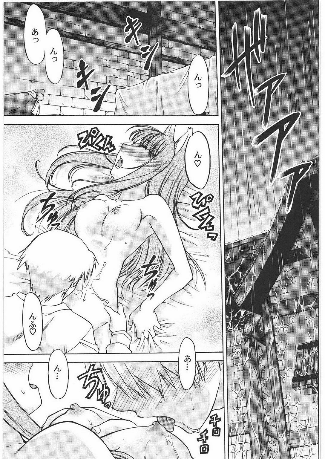 (C76) [Kacchuu Musume (Hisahiko, Shimamoto Harumi)] Smalt Leather (Spice and Wolf) page 10 full