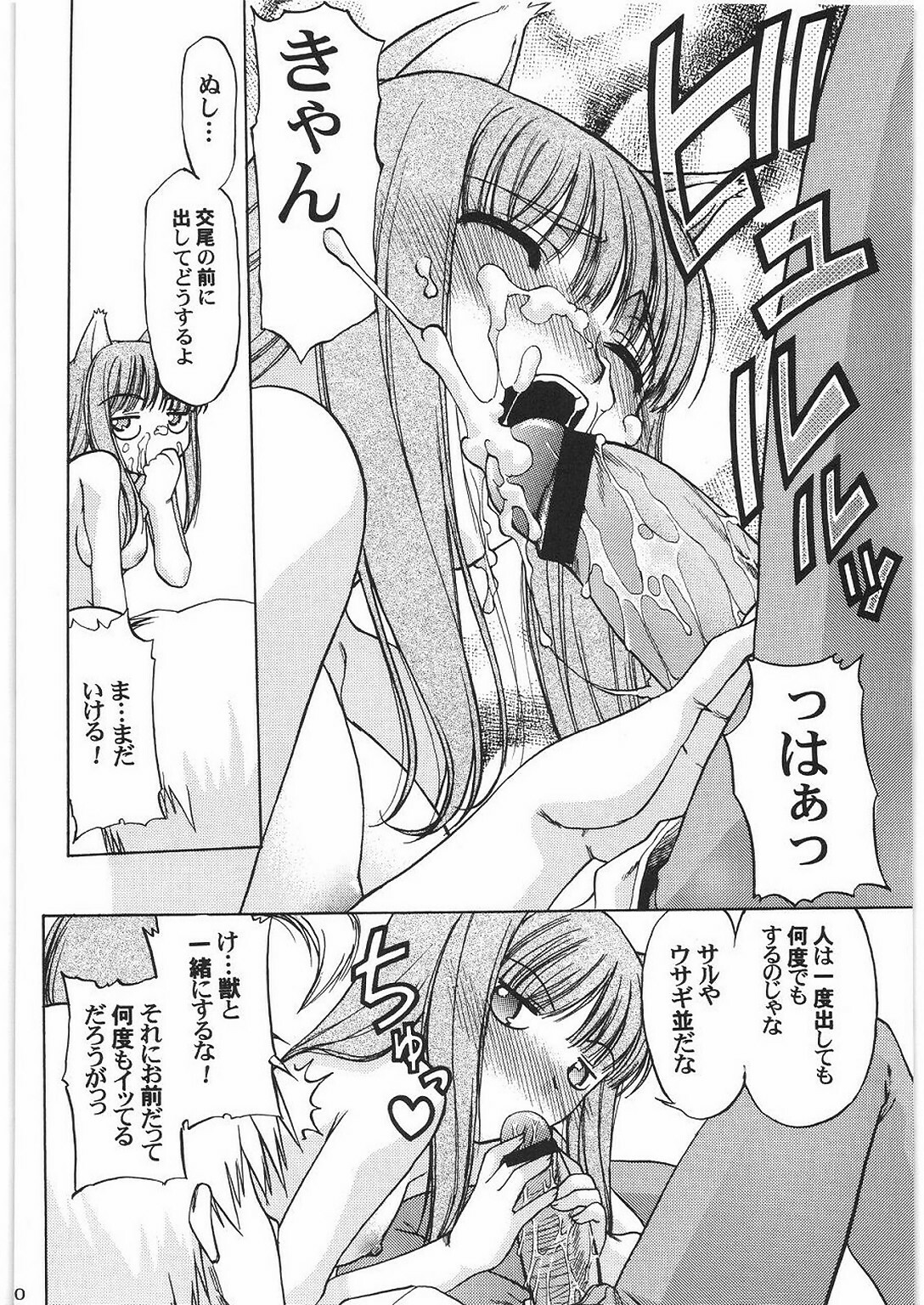 (C76) [Kacchuu Musume (Hisahiko, Shimamoto Harumi)] Smalt Leather (Spice and Wolf) page 19 full