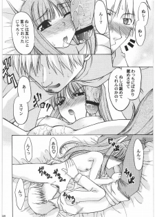 (C76) [Kacchuu Musume (Hisahiko, Shimamoto Harumi)] Smalt Leather (Spice and Wolf) - page 17