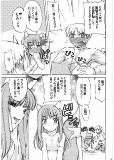 (C76) [Kacchuu Musume (Hisahiko, Shimamoto Harumi)] Smalt Leather (Spice and Wolf) - page 20