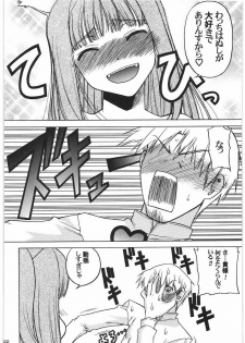 (C76) [Kacchuu Musume (Hisahiko, Shimamoto Harumi)] Smalt Leather (Spice and Wolf) - page 21