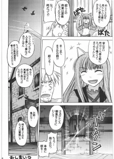 (C76) [Kacchuu Musume (Hisahiko, Shimamoto Harumi)] Smalt Leather (Spice and Wolf) - page 27
