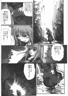 (C76) [Kacchuu Musume (Hisahiko, Shimamoto Harumi)] Smalt Leather (Spice and Wolf) - page 47