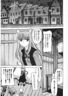 (C76) [Kacchuu Musume (Hisahiko, Shimamoto Harumi)] Smalt Leather (Spice and Wolf) - page 4
