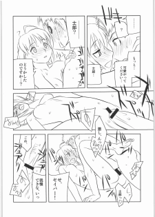 (C73) [Harimaya (Ouma Bunshichirou)] Shunkashuutou 12 (Fate/stay night) - page 13