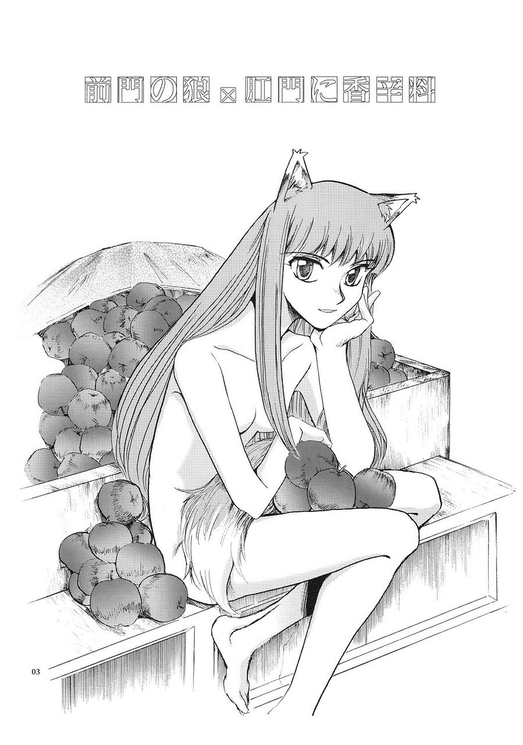 [Okinawa Taieki Gunjinkai] Zenmon no Ookami x Koumon ni Kousinryou (Spice and Wolf) page 2 full