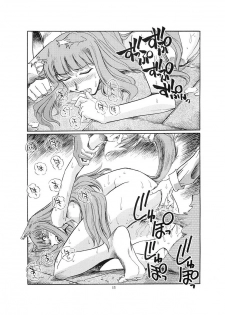 [Okinawa Taieki Gunjinkai] Zenmon no Ookami x Koumon ni Kousinryou (Spice and Wolf) - page 14