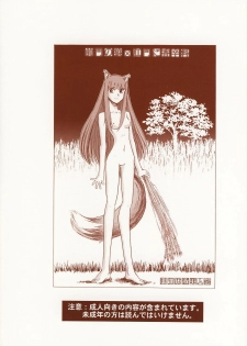 [Okinawa Taieki Gunjinkai] Zenmon no Ookami x Koumon ni Kousinryou (Spice and Wolf) - page 18