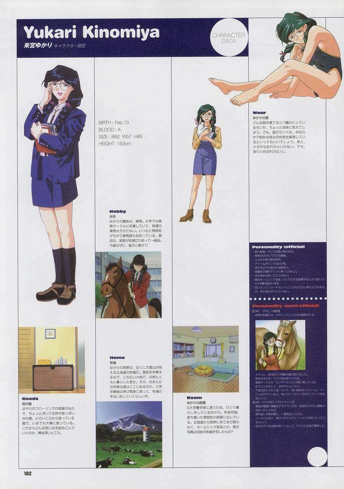 Super Real Mahjong Visual Fan Book Perfect Collection page 196 full