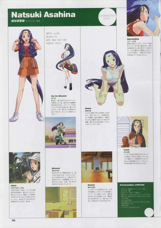 Super Real Mahjong Visual Fan Book Perfect Collection page 206 full