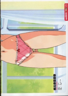 Super Real Mahjong Visual Fan Book Perfect Collection - page 9