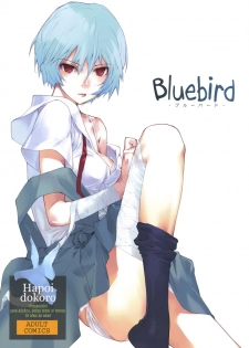 (C77) [Hapoi-dokoro (Okazaki Takeshi)] Bluebird (Neon Genesis Evangelion) [Spanish] [TCF] - page 1