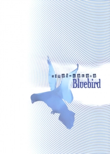 (C77) [Hapoi-dokoro (Okazaki Takeshi)] Bluebird (Neon Genesis Evangelion) [Spanish] [TCF] - page 26