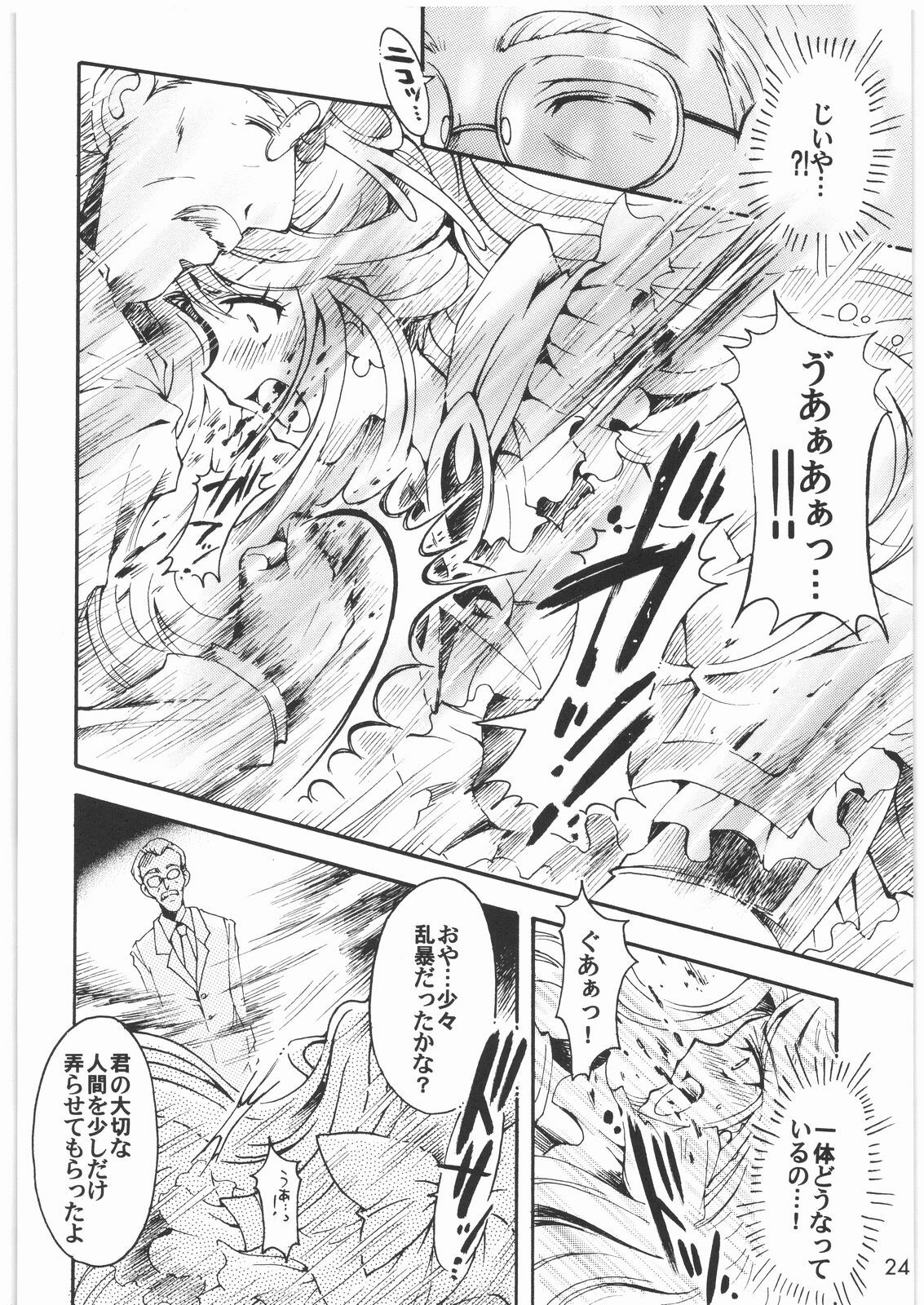 (SC35) [Kotori Jimusho (Sakura Bunchou)] Yume Yaburete... (Yes! Precure 5) page 23 full