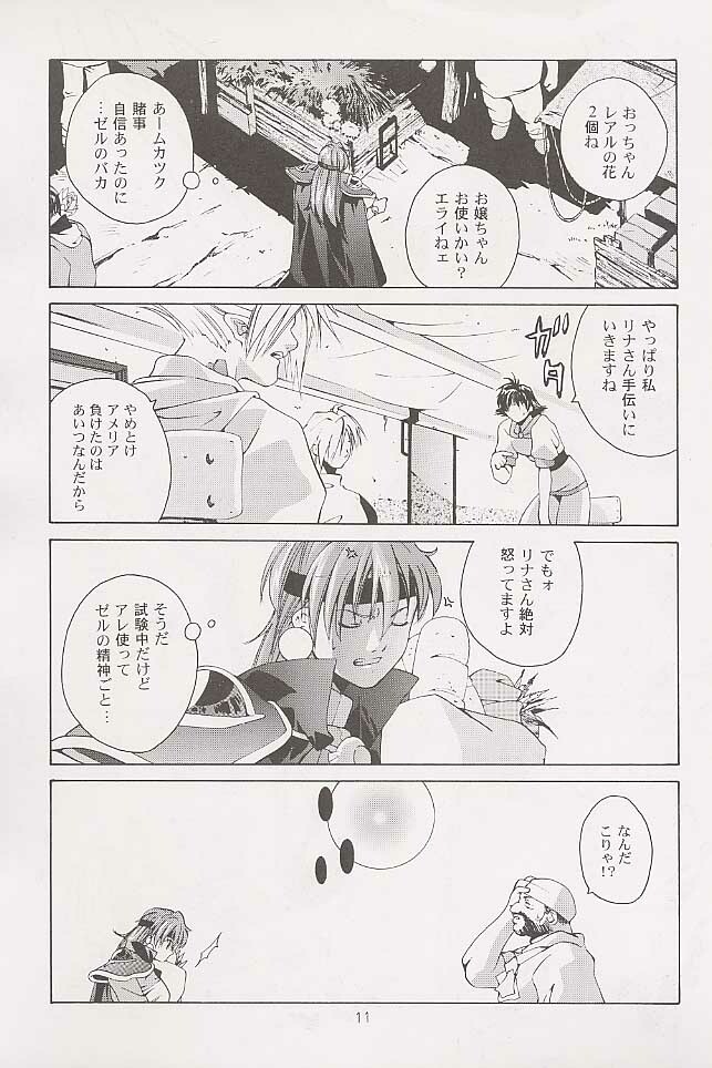 [Studio Kimigabuchi (Entokkun)] BLACK EARTH (Slayers) page 10 full