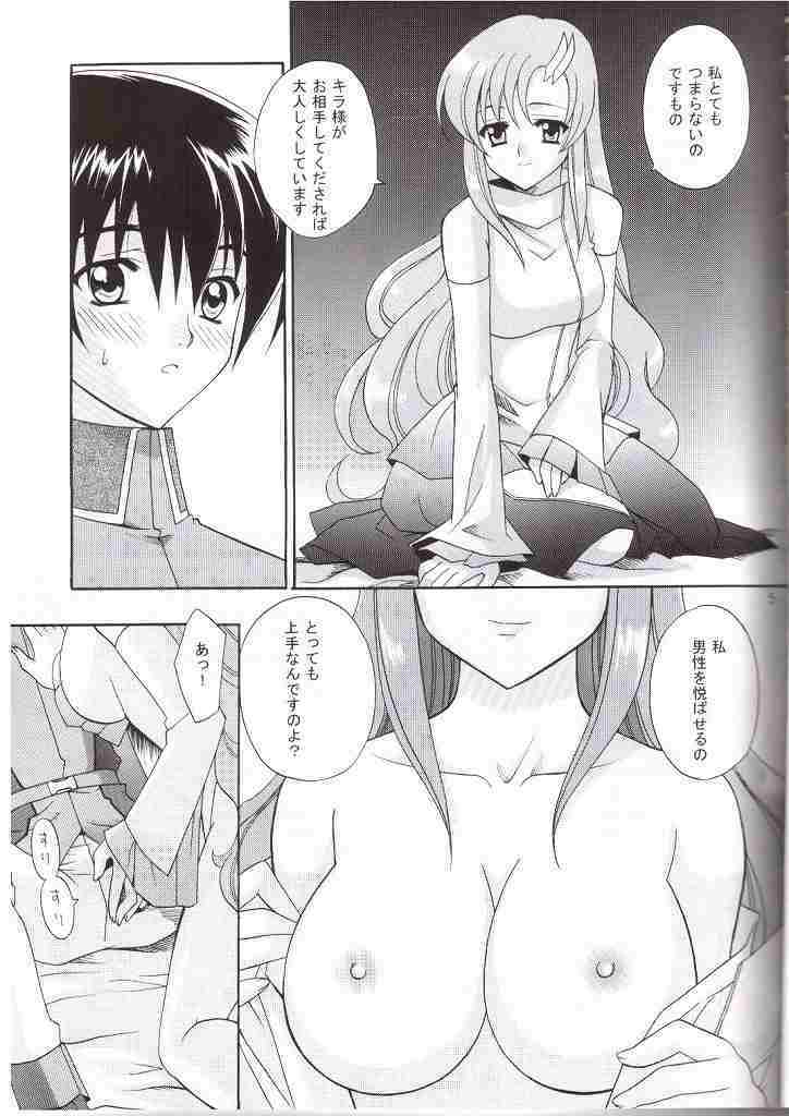 (CR33) [Teruo Haruo (Kanekiyo Miwa)] Uchu no Tane. (Gundam SEED) page 2 full