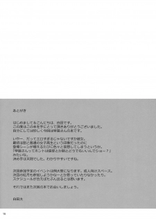 (C77) [waterwheel (Shirota Dai)] Rakusei no Mikannagi (Touhou Project) - page 17