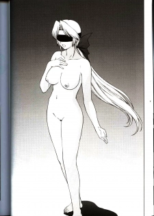 (CR33) [Secret Society M (Kitahara Aki)] Utahime no Shouzou 3 (Dead or Alive) [Chinese] - page 22