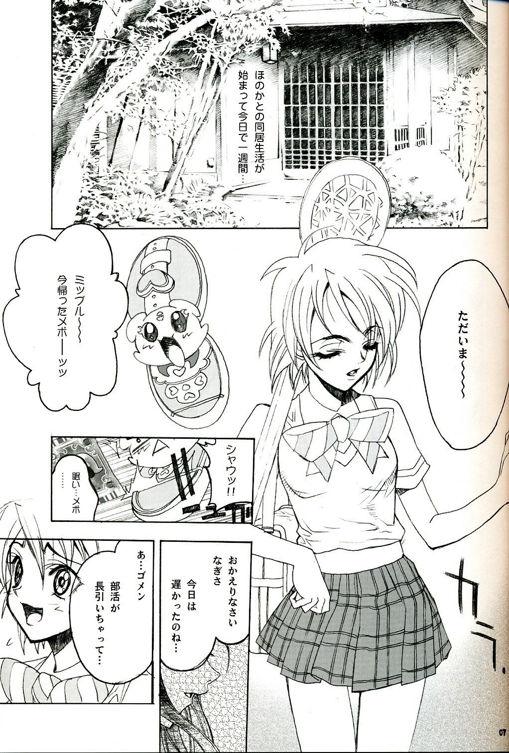 (C67) [PIGGSTAR (Nagoya Shachihachi)] SOS ROMANTIC (Futari wa Precure) page 6 full