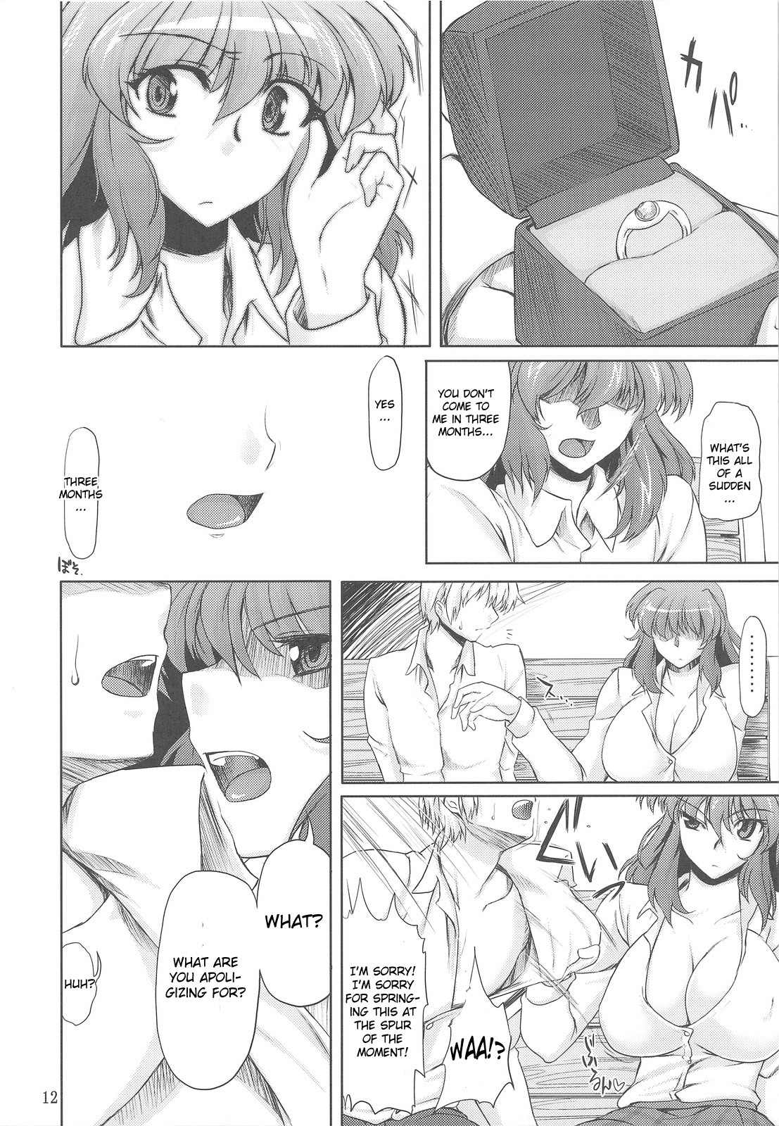 (C77) [04U (Misasagi Task)] Taiyou no Hatakenite Sorekara + Paper | On the Sunny Field -- Afterwards (Touhou Project‎) [English] [CGrascal] page 12 full