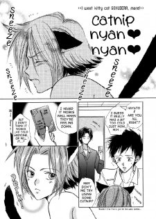 [ayafujii.com (Fujii Aya)] Gokunyanko Okawari (Katekyoo Hitman REBORN!) [English] [Aku-Tenshi] - page 22