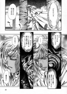 (C56) [Shishinden (Sakura Rinko, Tachibana Mizuki)] Chaotic Heaven (Slayers) - page 24