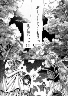 (C56) [Shishinden (Sakura Rinko, Tachibana Mizuki)] Chaotic Heaven (Slayers) - page 5