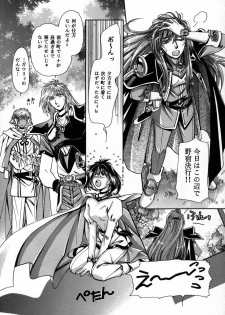 (C56) [Shishinden (Sakura Rinko, Tachibana Mizuki)] Chaotic Heaven (Slayers) - page 6