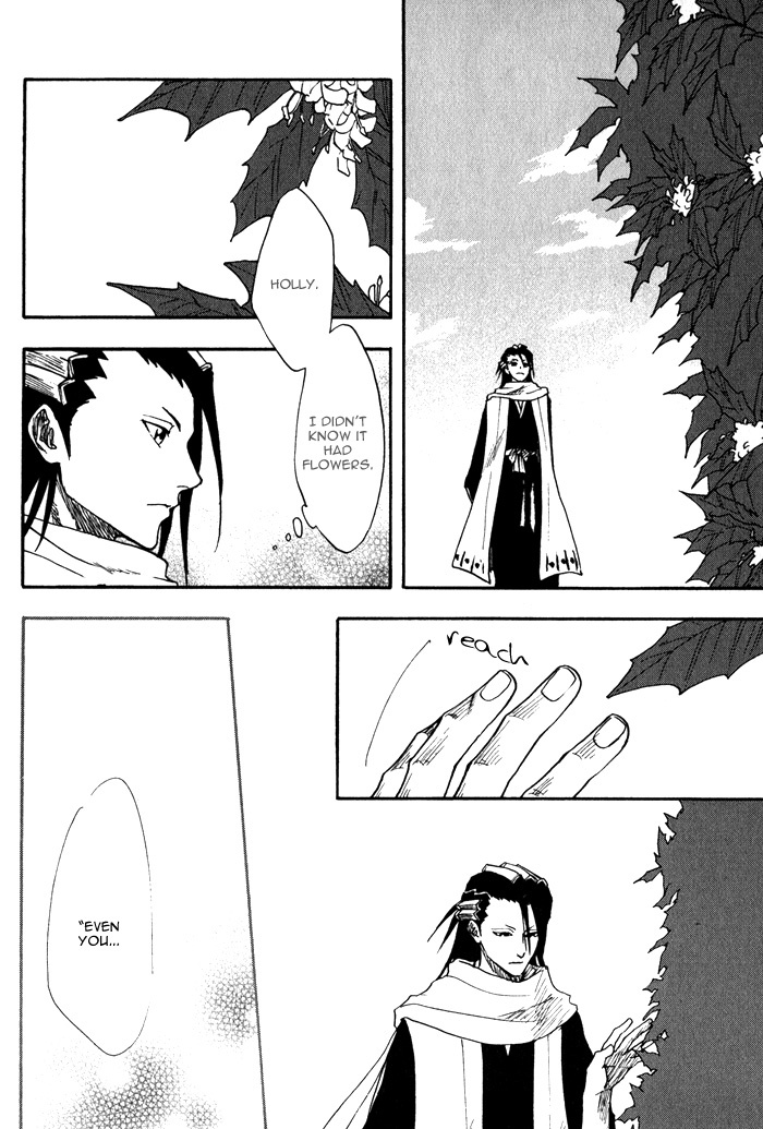 (C69) [Gyokuran (Yuugao)] Hiiragi (Bleach) [English] [DPScanlations] page 25 full