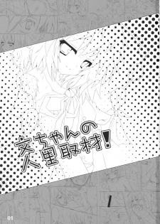 (C77) [Moe Ultimate (Ultimate Ruirui)] Bun-chan no Hitozato Shuzai! (Touhou Project) - page 2