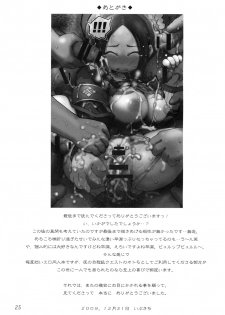 (C77) [Urakaryuu (Ibukichi)] Karincyu HoiHoi (Monster Hunter) - page 24