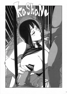 (C77) [Sato Samitt (Satomi Sato)] Pleasure (One Piece‎) - page 10