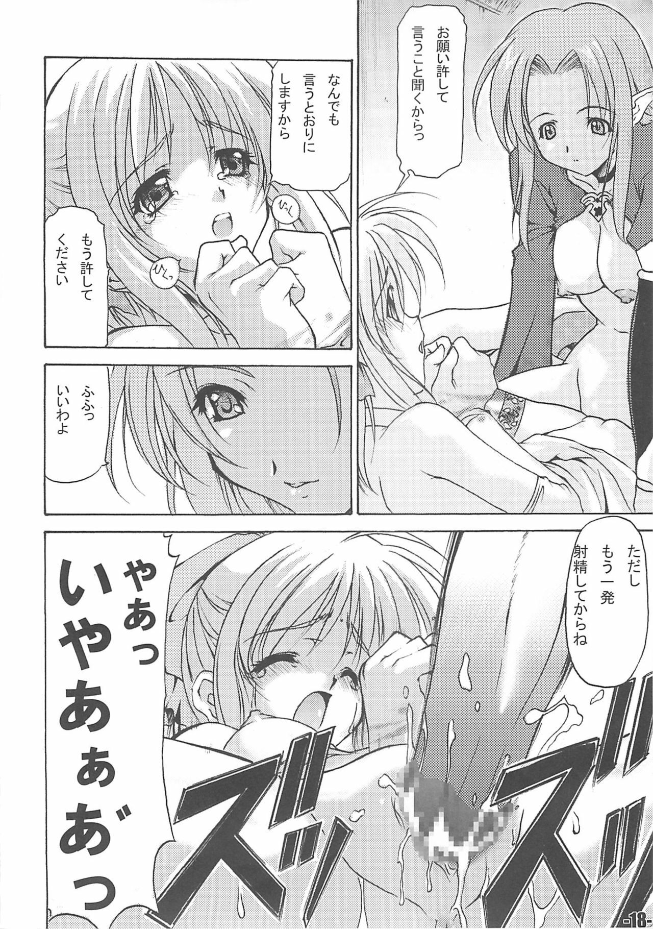 (CR35) [EXtage (Minakami Hiroki)] EXtra stage vol. 13 (Fate/stay night) page 17 full