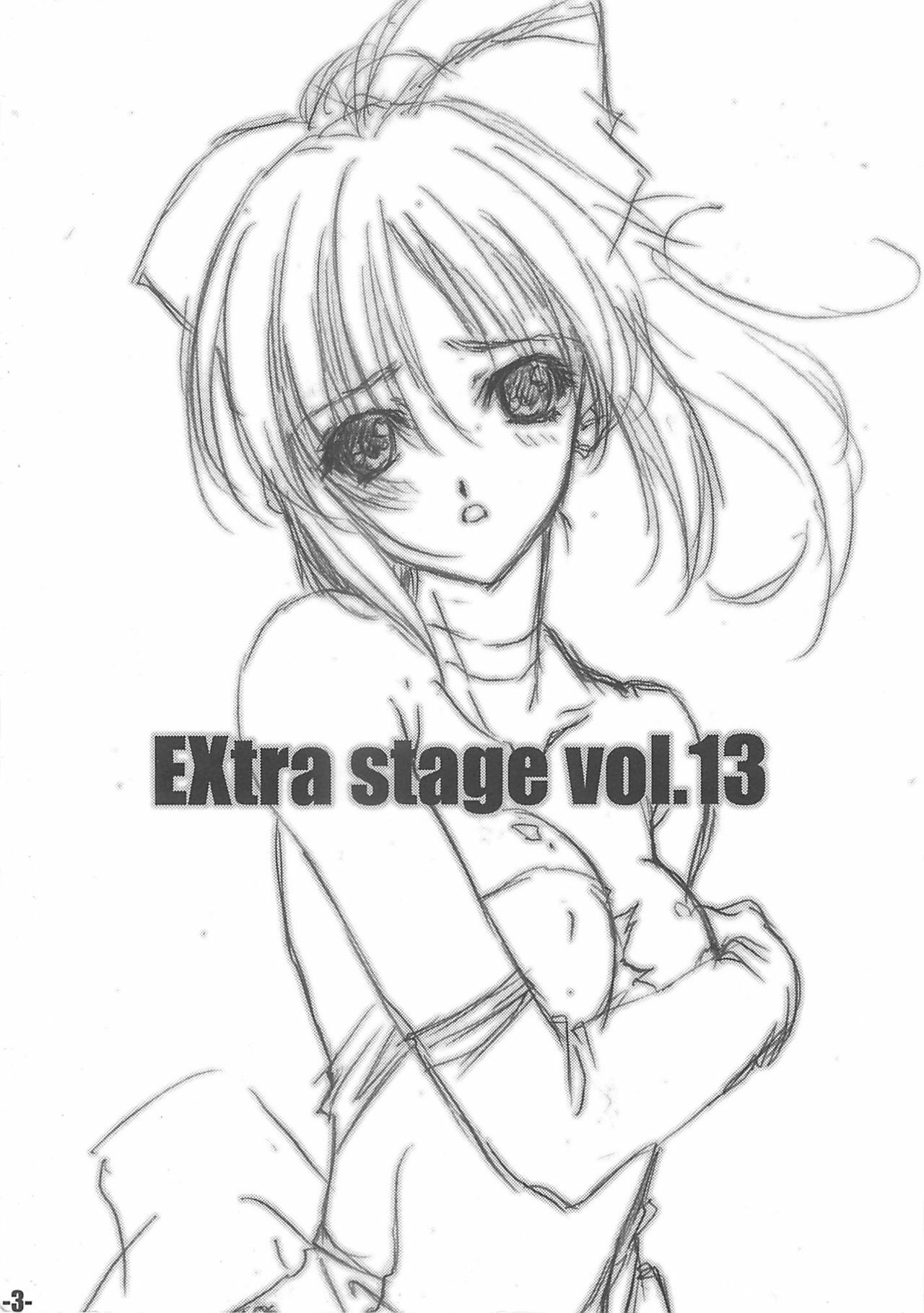 (CR35) [EXtage (Minakami Hiroki)] EXtra stage vol. 13 (Fate/stay night) page 2 full