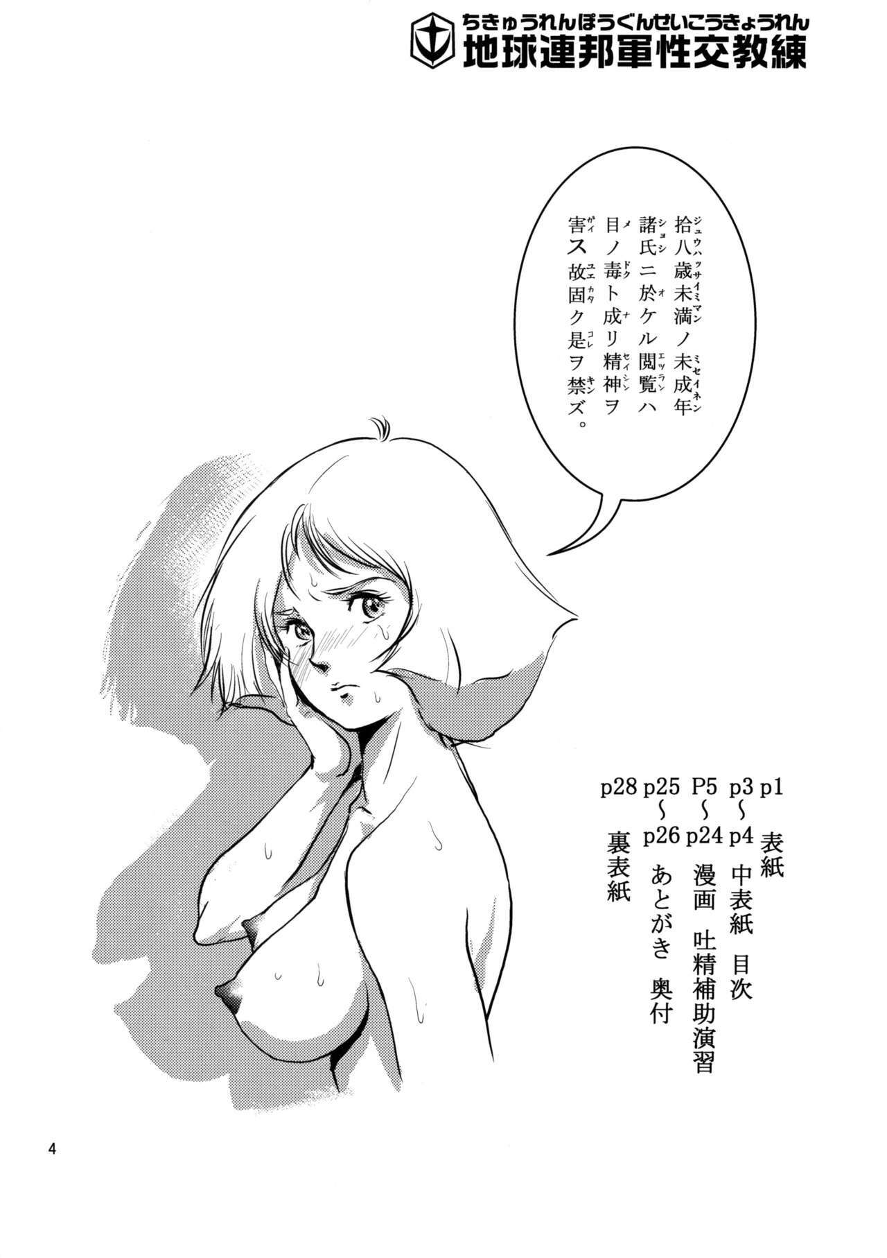 (C75) [Skirt Tsuki (keso)] Chikyuu Renpougun Seikou Kyouren (Mobile Suit Gundam) page 3 full