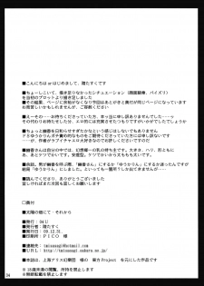 (C77) [04U (Misasagi Task)] Taiyou no Hatakenite Sorekara + Paper (Touhou Project‎) - page 35