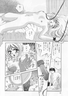 [Sakuya Shion]Watashi wo nikudorei ni shitekudasai (PLEASE HURT ME, AS A SLAVE....) - page 30