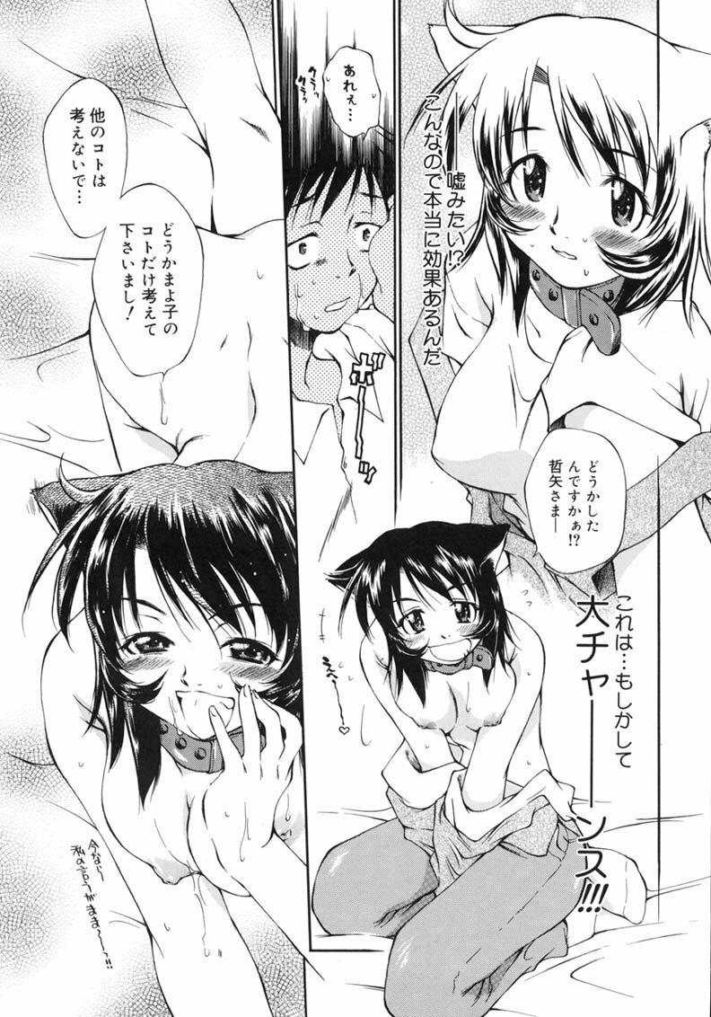 [Tachibana Toshihiro] Happy ☆ Trap page 35 full