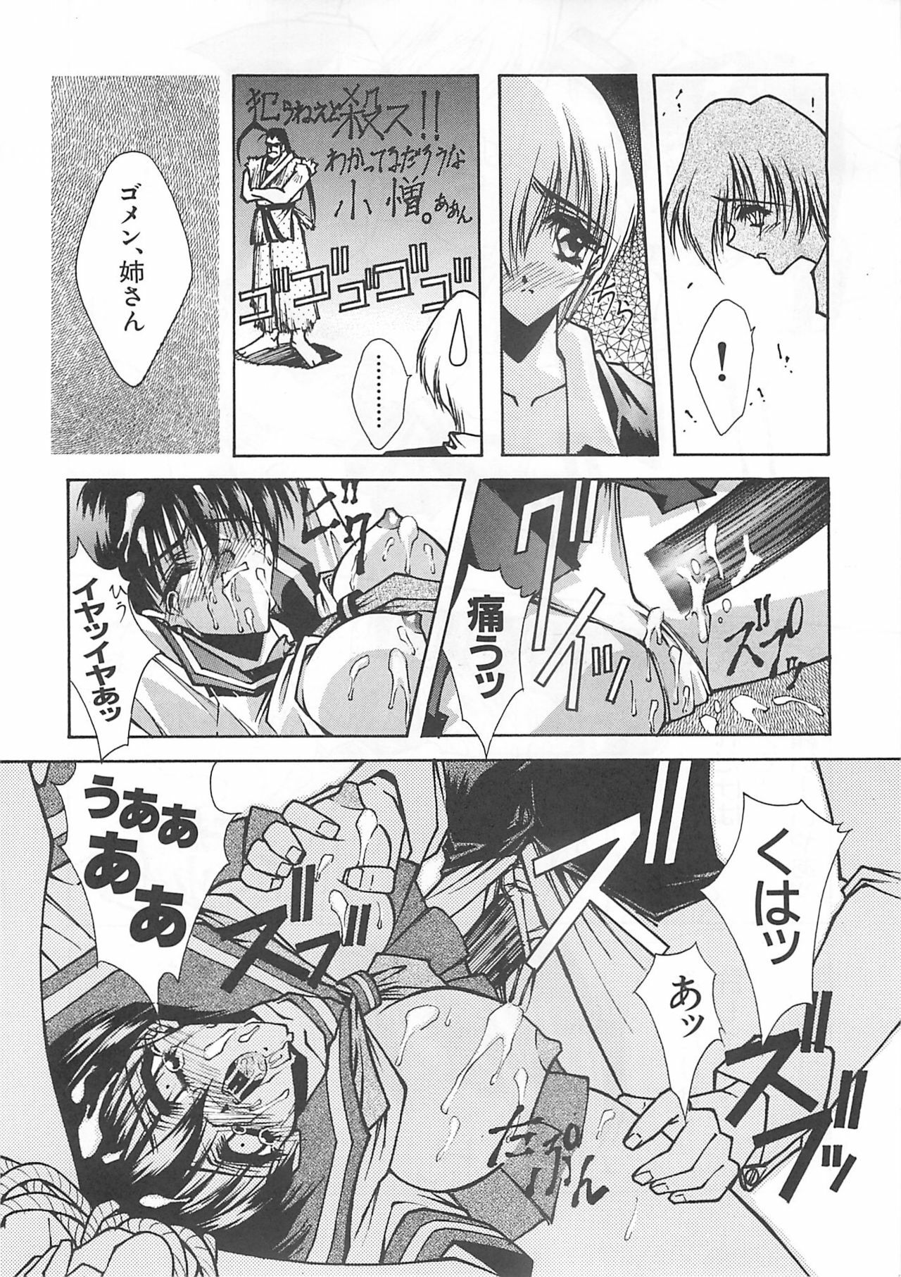 (CR21) [BLUE GARNET (Serizawa Katsumi)] Blue Garnet Vol. 03 Chirizakura (Street Fighter ZERO) page 25 full