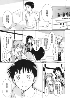 (C77) [Homunculus] White Lie (Neon Genesis Evangelion) [Chinese] {Genesis漢化} - page 5