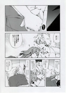 (C77) [Aihara Otome (Yamada Nyoriko)] Miesugi Janai (Neon Genesis Evangelion) - page 26