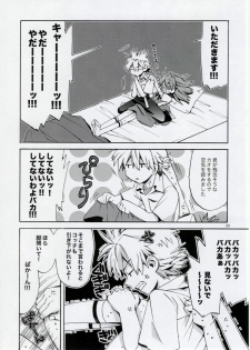 (C77) [Aihara Otome (Yamada Nyoriko)] Miesugi Janai (Neon Genesis Evangelion) - page 30
