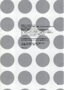 (C77) [Aihara Otome (Yamada Nyoriko)] Miesugi Janai (Neon Genesis Evangelion) - page 48