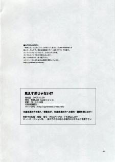 (C77) [Aihara Otome (Yamada Nyoriko)] Miesugi Janai (Neon Genesis Evangelion) - page 50