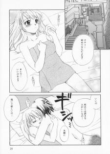 [Ureshino Megumi]Genkaiharetsu (LIMIT EXPLOSION) - page 24