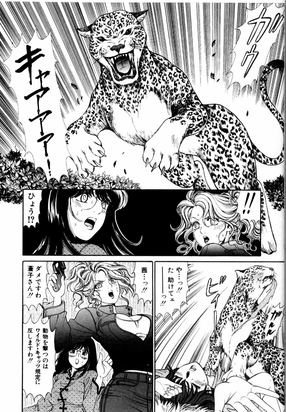 [Kobayashi Takumi] Wild Cats page 147 full